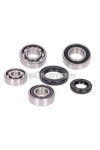 gearbox bearing set w/ oil seals for Peugeot vertical Euro1/2