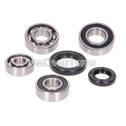   gearbox bearing set w/ oil seals for Peugeot vertical Euro1/2