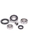 gearbox bearing set w/ oil seals for Piaggio long type