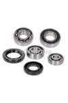 gearbox bearing set w/ oil seals for CPI Euro2