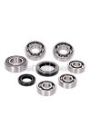 gearbox bearing set w/ oil seals for Kymco horizontal SF10, SYM horizontal