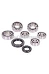 gearbox bearing set w/ oil seals for Kymco horizontal 4-stroke