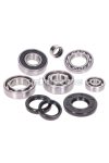 engine bearing set w/ oil seals for Vespa Smallframe 24mm 50, S, N, R, L, Special, Elestart, PK, 80, 90, 125