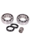 crankshaft bearing set w/ shaft seals for Rotax 122, 123