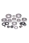 bearing set engine incl. oil seals for ROTAX Type 122 1998- 2T LC