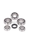 gearbox bearing set w/ oil seals for Yamaha, MBK 2-stroke 100cc