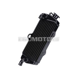 radiator aluminum black for Beta 50 RR 2005-