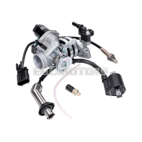 fuel injection system for 139QMB 50cc EFI Euro4 / Euro5, GT Union GT3, Striker, Alpha Motors Shark, GMX 460