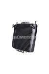 radiator for Piaggio MP3 125-500, Gilera Fuoco