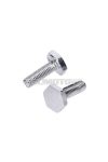 Chrome screw set for top telescopic fork for Puch Maxi