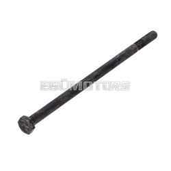   Engine bolt reinforced DIN931 M6x120 10.9 for Piaggio Bravo, Ciao, Boxer, Si, Su