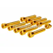 Csavarkészlet M6, arany eloxált, motorfedélhez, Simson S50, S51, S70, S53, S83 Enduro