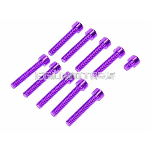 Screw set M6 violet / purple anodized engine cover for Simson S50, S51, S70, S53, S83 Enduro