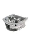 cylinder head assy incl. valves with SAS / EGR system cylinder head assy