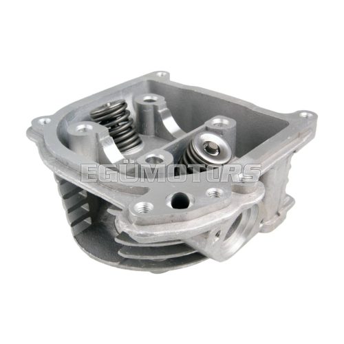 cylinder head assy incl. valves with SAS / EGR system cylinder head assy