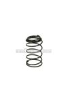 oil filter screen spring