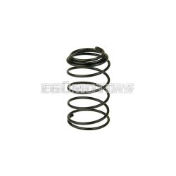 oil filter screen spring