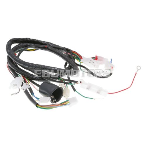 main wire / general wire harness for Jinlun Fighter 50