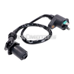 ignition coil with spark plug cap