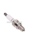 spark plug 101 Octane - CR5HSA / CR5HNS