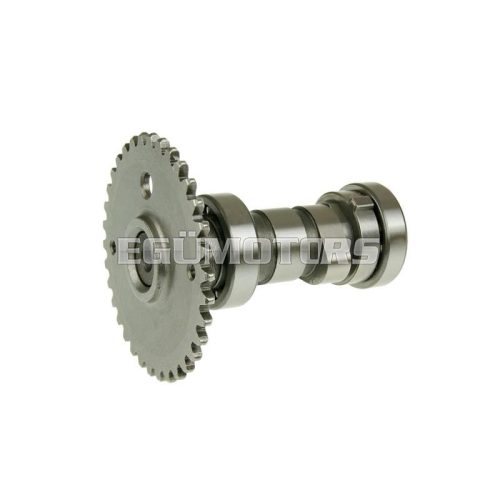 camshaft for GY6 125/150cc