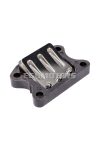 reed valve assy / membrane block for Kymco, SYM, Peugeot vertical