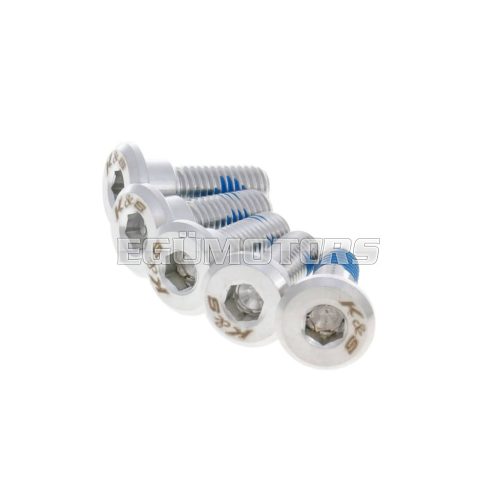 101 Octane Laposfejű csavar M8x24/18 féktárcsához, 5 darab