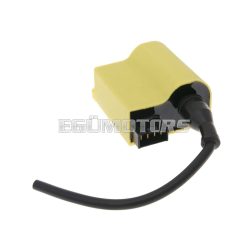   CDI unit with ignition coil for Suzuki Katana, Estilette, Zillion