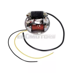   101 Octane gyújtásalaplap megszakítóval 6V 17W, Puch Maxi E50, Z50, ZA50, Sachs, Hercules, Zündapp