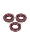 engine oil seal set FKM for Puch Maxi (old engine type)