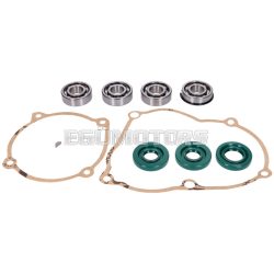   OEM Standard Motortömítés és csapágy készlet, Puch Maxi S / N 1-sebességes automata [E50] jobbra forgó (régi típusú motor)