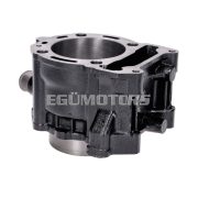 101 Octane hengerszett, Piaggio Beverly MP3, Vespa GTS 300cc i.e., Euro3