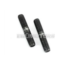 Stud bolt M6 x 30mm set of 2 for Puch, Maxi