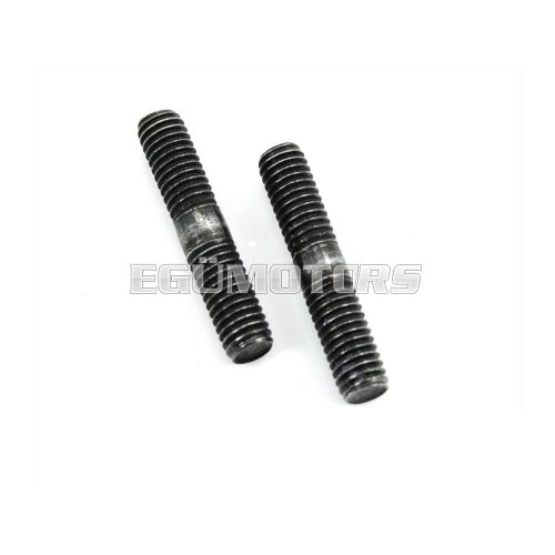 Stud bolt M6 x 30mm set of 2 for Puch, Maxi