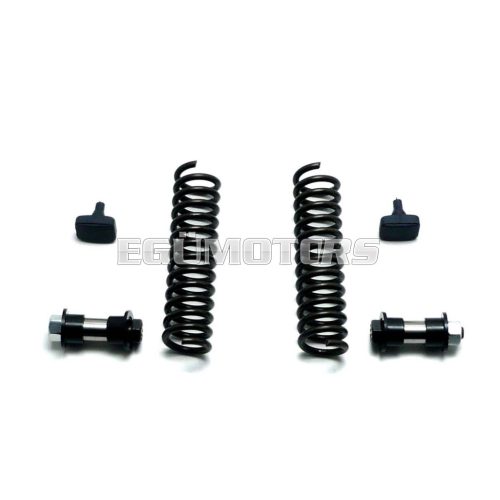 Repair set telescopic fork springs bushes bumpers black for Piaggio Ciao