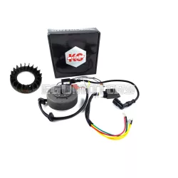   Ignition Kokusan EVO 2 fan cooled for Kreidler Florett LF LH egg tank K 54