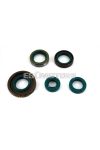 Simmering set 5-piece rubber metal for Zündapp, KS 80 Super