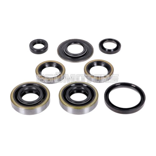 Oil seal set 8 2x 15x30x7 1x 15x31,5x3,5 16x24x4 25x31,2x4 10x16x4,5 for Hercules, Miele, DKW, KTM, Göricke, Gritzner