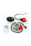 Inner rotor electronic ignition 16,4mm x 11,8mm 200g for Zündapp, Tomos, Puch