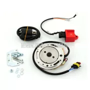 Belső rotor elektronikus gyújtáshoz 16mm x 11.5mm, 200g, Kreidler Flory, Florett RS, RM, TM, RMC, LF, LH, tojástank