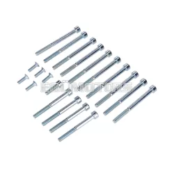   Motorcsavar készlet horganyzott, 20 darab, Hercules Prima, Sachs 505/2 AK S, SF, A NL, B, C, CK, D, DK, DKW, KTM, Rixe