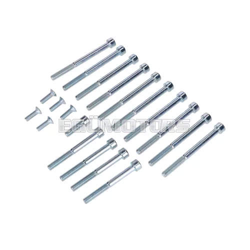 Motorcsavar készlet horganyzott, 20 darab, Hercules Prima, Sachs 505/2 AK S, SF, A NL, B, C, CK, D, DK, DKW, KTM, Rixe