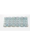 Clutch springs Lucas Reinforced 12 pieces for Yamaha DT 50 R 3MN, FS1 50, RD TY 1G3, 80 MX 5J1, RX 12N, SR 250 3Y8, XS 1U5, XT 3Y3; Kawasaki KE 125 KE125A, KH KH125A, KX 125, KDX 175 DX175B, KH250B; Suzuki TS TS50XK, GT L GT80, RM RM80B, RM80N, RM80X