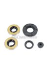 5-piece engine gasket set for Victoria, DKW, Express, MS 50, 51