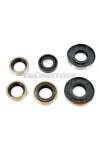 Simmering set 6-piece black for Puch, MV, MS, Monza