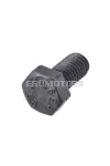 OEM Standard csavar M5x10mm [5.6]