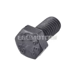 OEM Standard csavar M5x10mm [5.6]