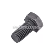 OEM Standard csavar M5x10mm [5.6]
