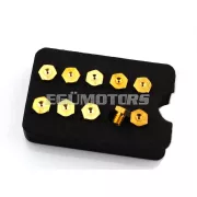 Főfúvóka készlet Bing sárgaréz M6 x 1, 10 darab, Kreidler Florett RS TM GT, Hercules K 50, 50 SE RE RL SL, SX RX, Sprint, Ultra, Ultra 80, 100, Sport Bike SB1, KTM Comet, DKW 159 159TS, Zündapp KS 80 Super, 125, SB, Puch M Jet