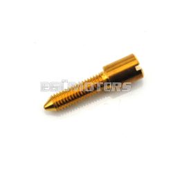   Bolt for Bing stationary throttle brass for Sachs 50S, Zündapp KS 50 WC, Zündapp, SW, Hercules Ultra 80, Kreidler, engine type 284-12 LJ, K 80 SA, 100, 540, Casal Suzuki SP 370, RS 125, GN 400, KTM, 50/6 SWD